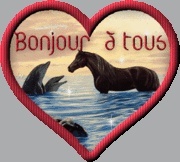 bonjour a tous